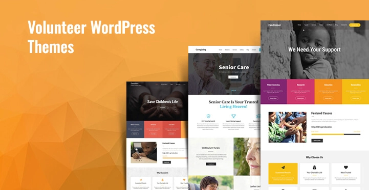 Freiwillige WordPress-Themes