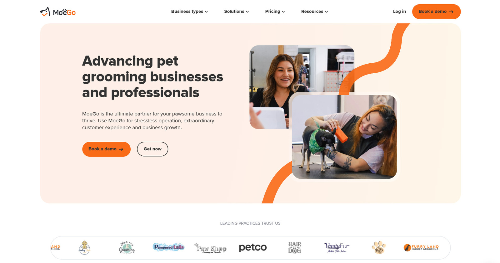 Photo de MoeGo, l'une des meilleures options logicielles de soins pour animaux de compagnie pour les entreprises de toilettage d'animaux.