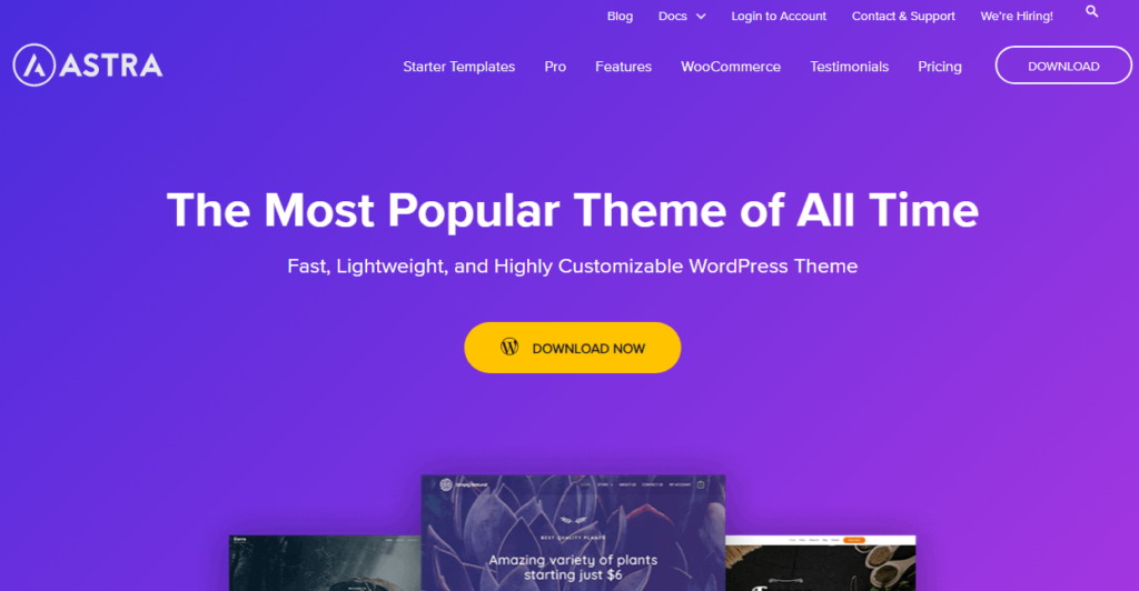 astra WordPress-Theme – Enfold-Theme-Alternativen