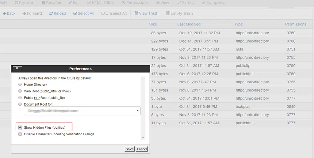 Show Hidden Files in File Manager of cPanel