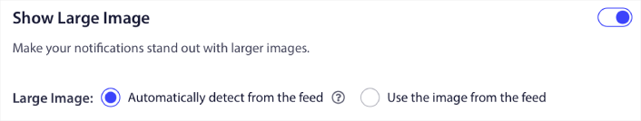 Wählen Sie ein großes Bild für RSS-Push-Benachrichtigungen