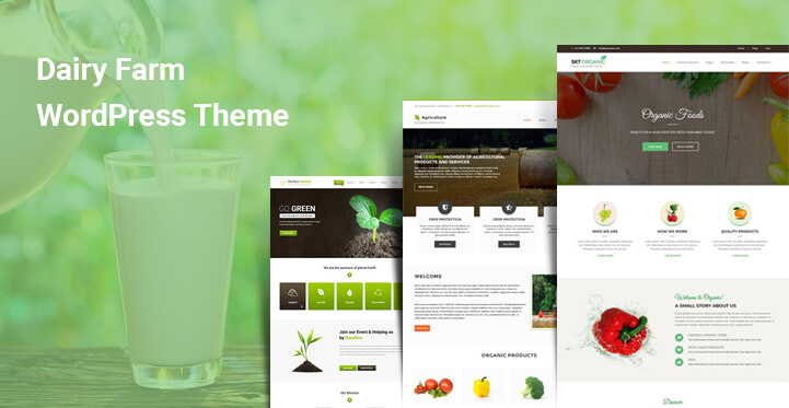 Thèmes WordPress pour le beurre