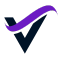 logo vayu