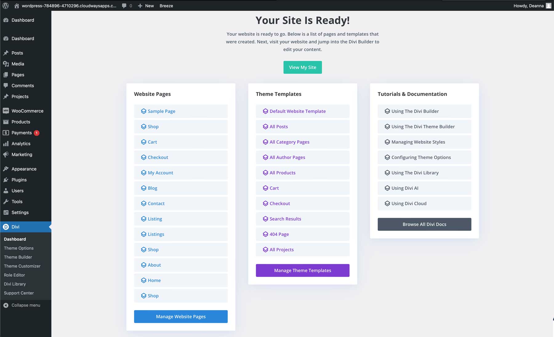 Situs permulaan Real Estat untuk Divi