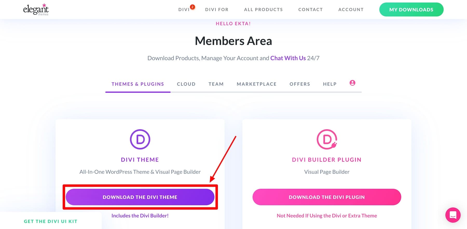 下載 divi 主題 zip 文件