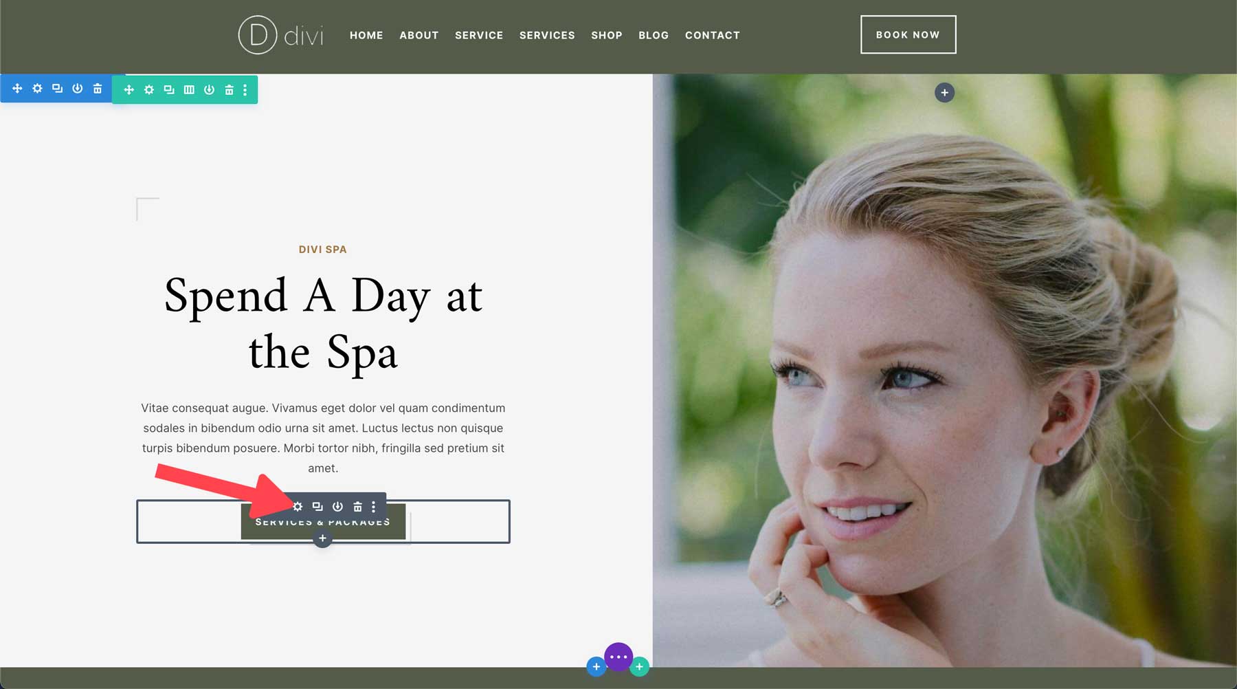 Site inicial de spa para Divi