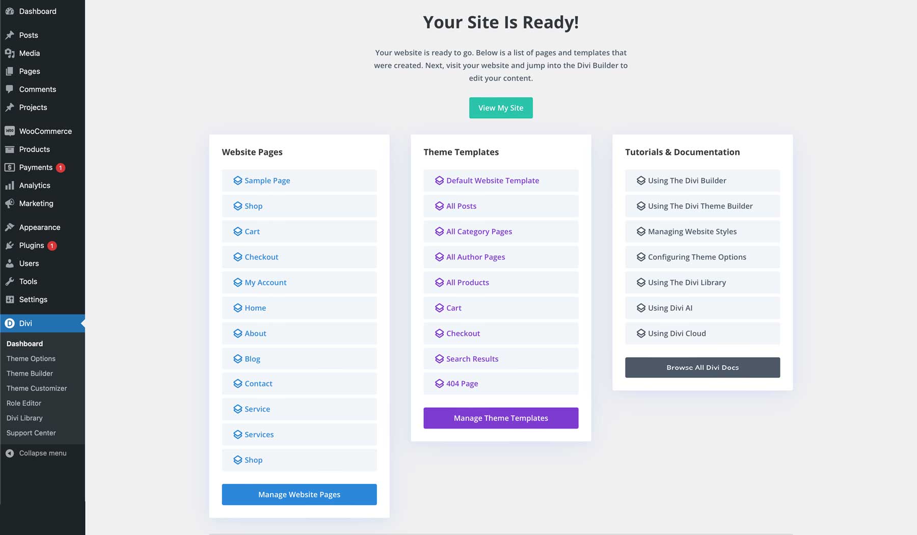 موقع بداية التمويل لـ Divi