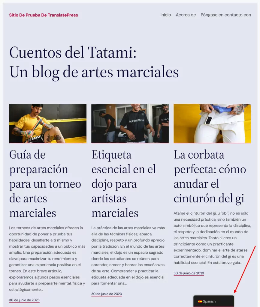 articles de blog traduits en espagnol pour un attrait international