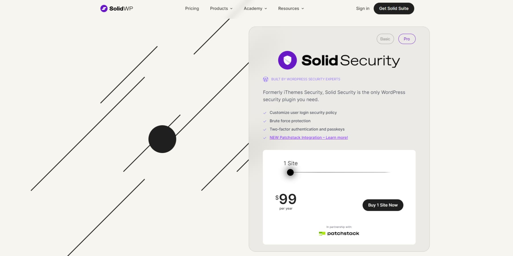 Solid Security 홈페이지 스크린샷