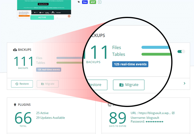 BlogVault ووكومرس