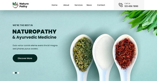 SKT Naturopathy ธีม WordPress ธรรมชาติบำบัด