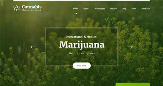 tema WordPress de maconha