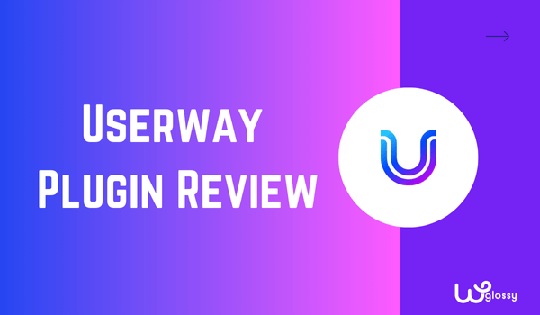 userway 플러그인 검토