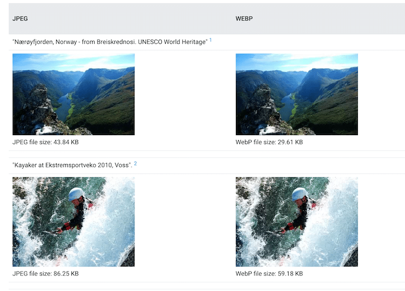 JPEG vs WebP - Sursa: WebP Gallery