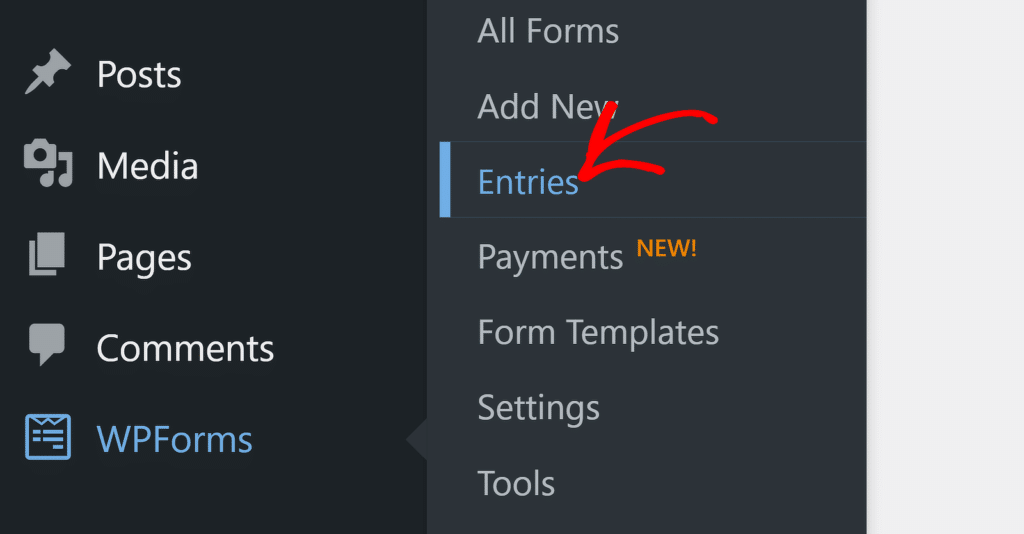 WPForms entries