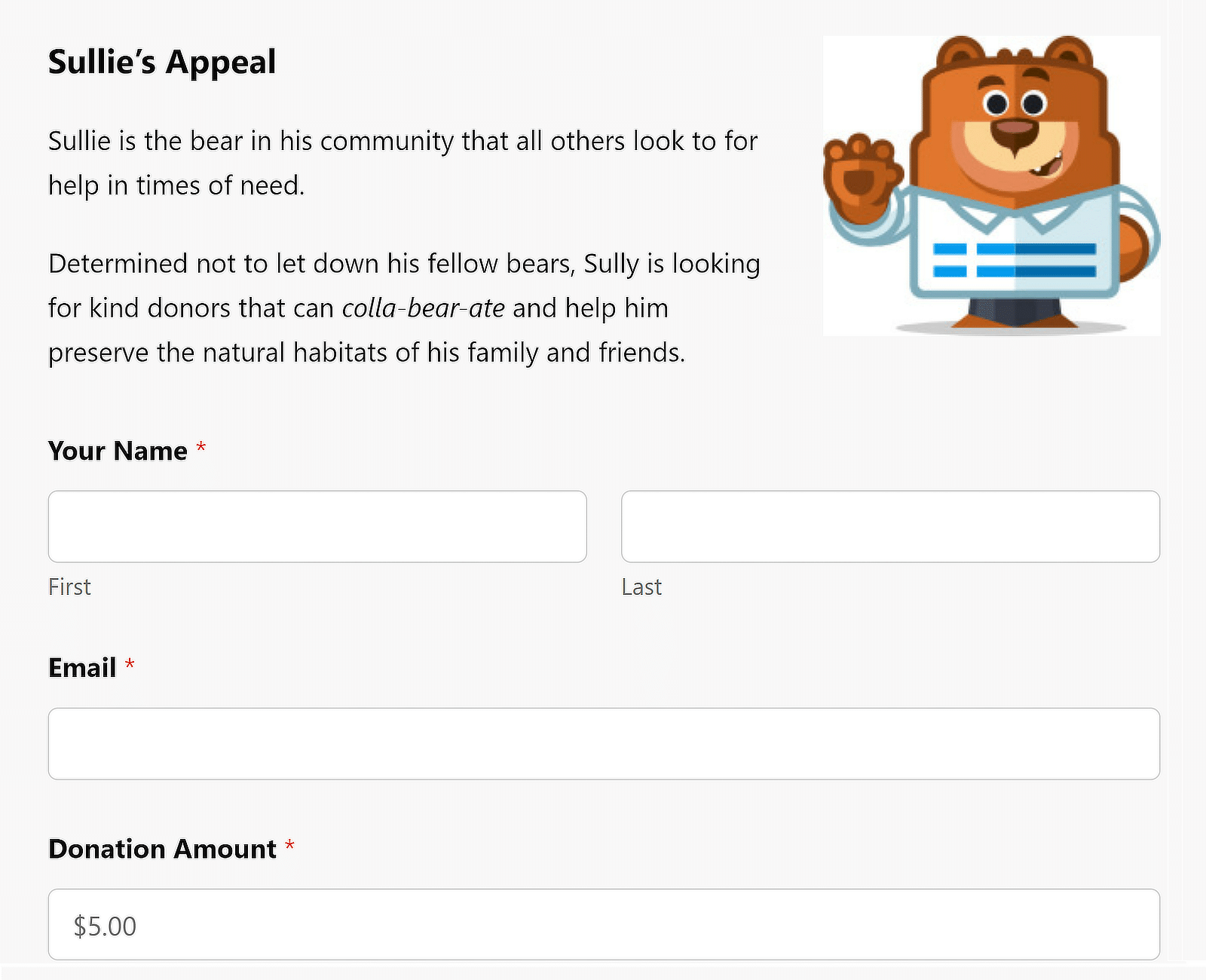 WPForms donation form example