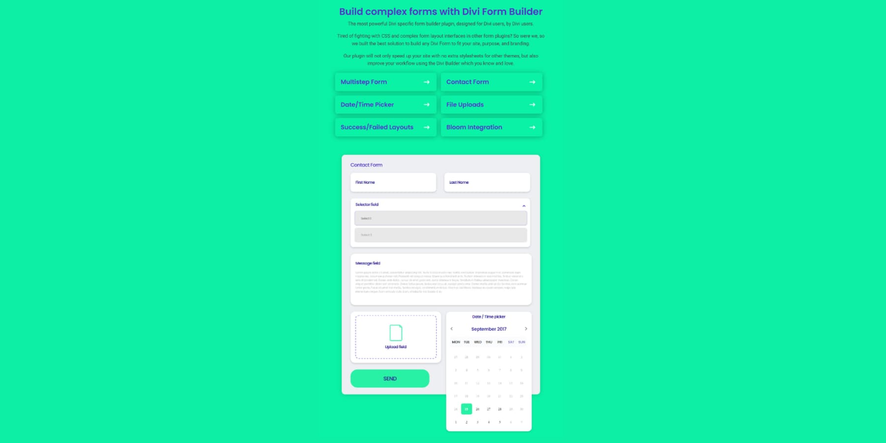 Uma captura de tela dos recursos do Divi Form Builder