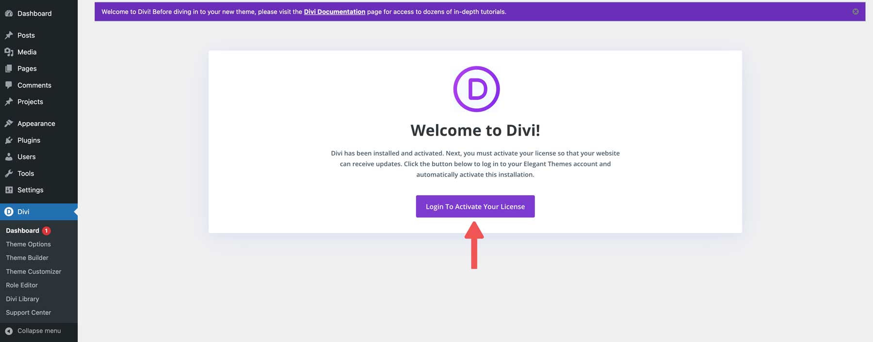 Divi 테마 활성화