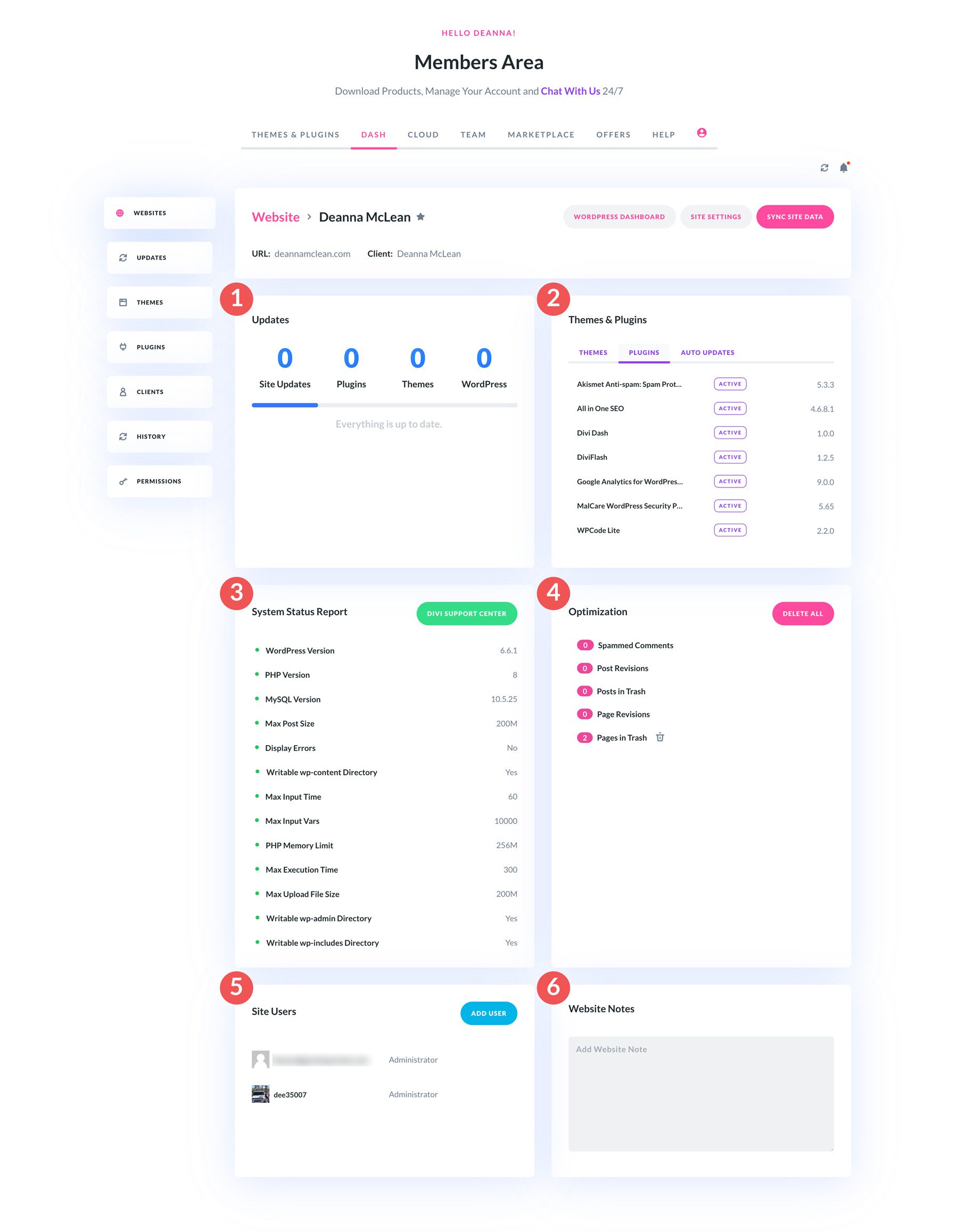 Dashboard del sito Web Divi Dash