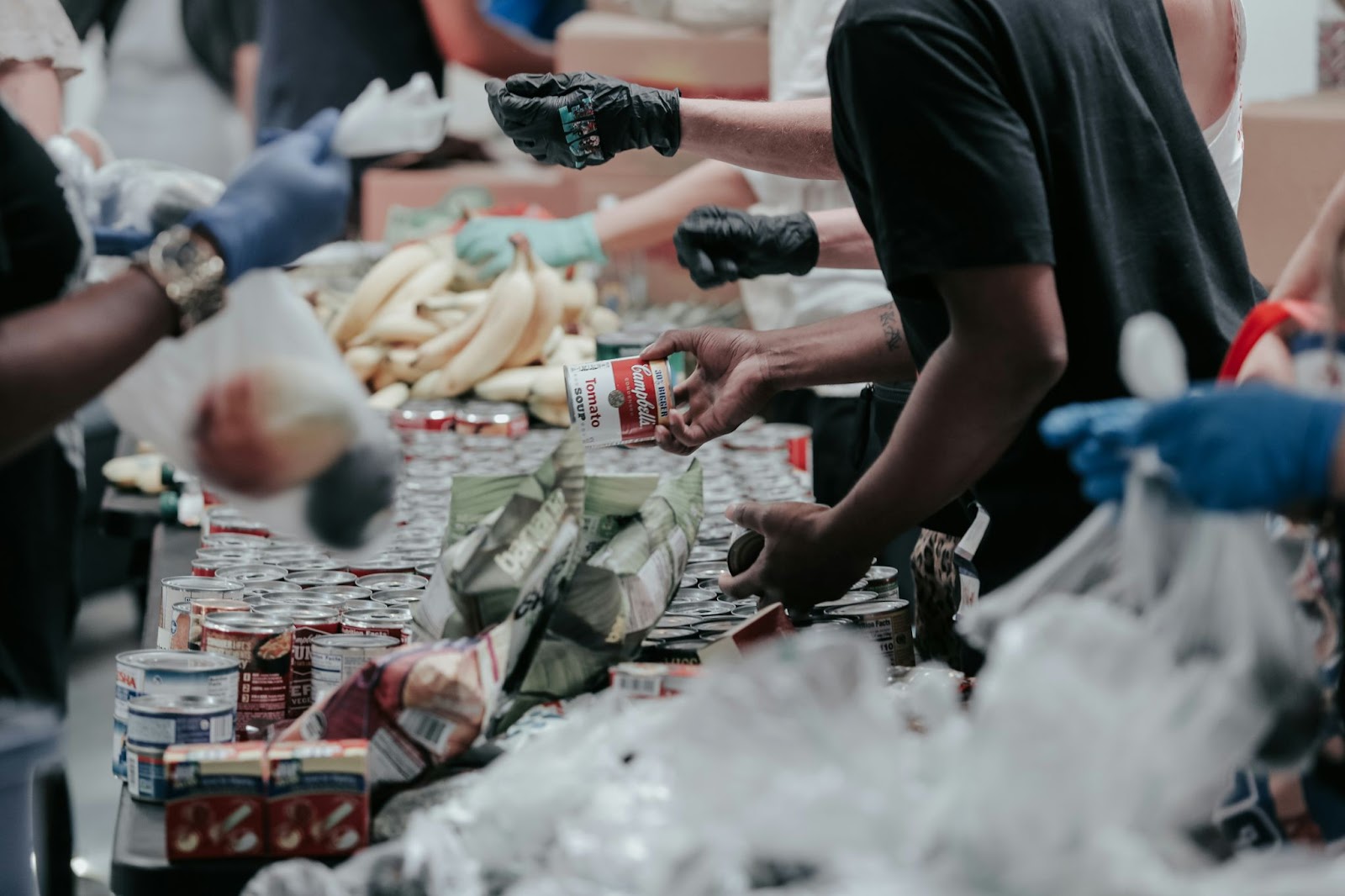 tim bekerja untuk mendistribusikan makanan kaleng