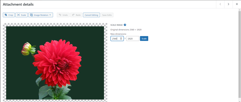 Scaling or resizing images in WordPress