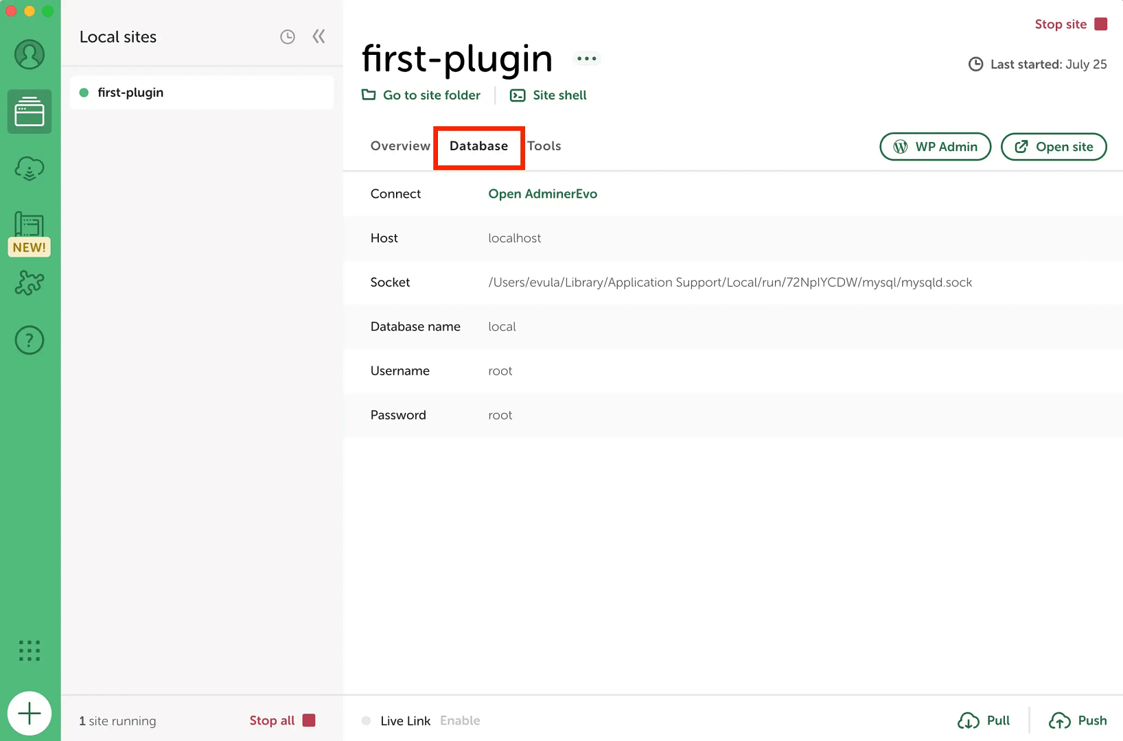 Mengakses database melalui Lokal dengan Flywheel.