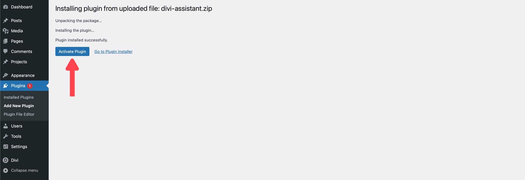 активировать Divi Assistant