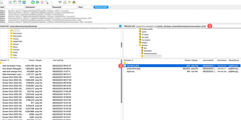 Accessing Functions.php File