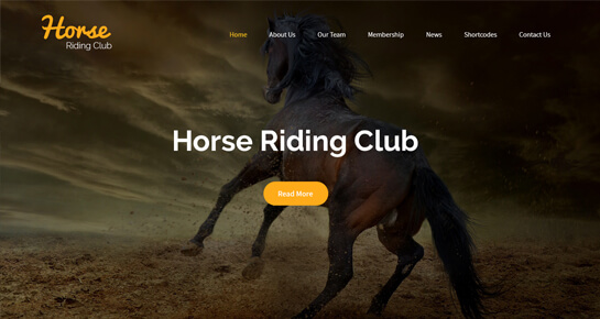 Tema Equestre Wordpress