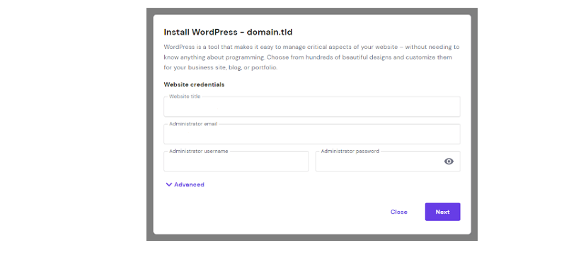 Detalii de domeniu pentru WordPress