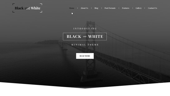 tema WordPress alb-negru