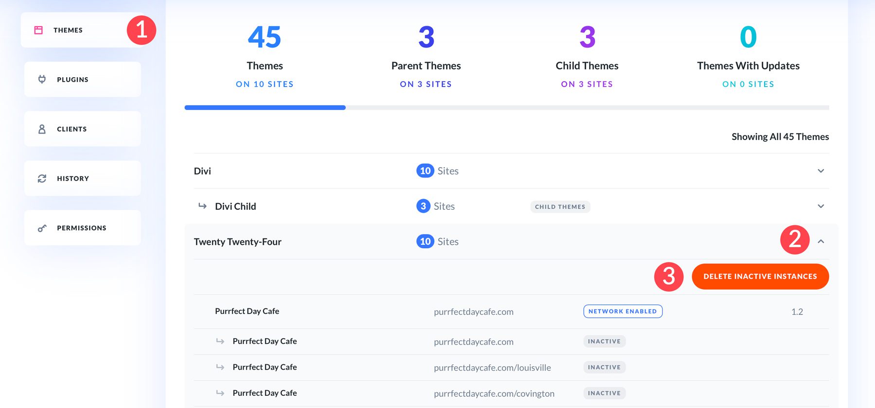 hapus tema yang tidak aktif dengan Divi Dash