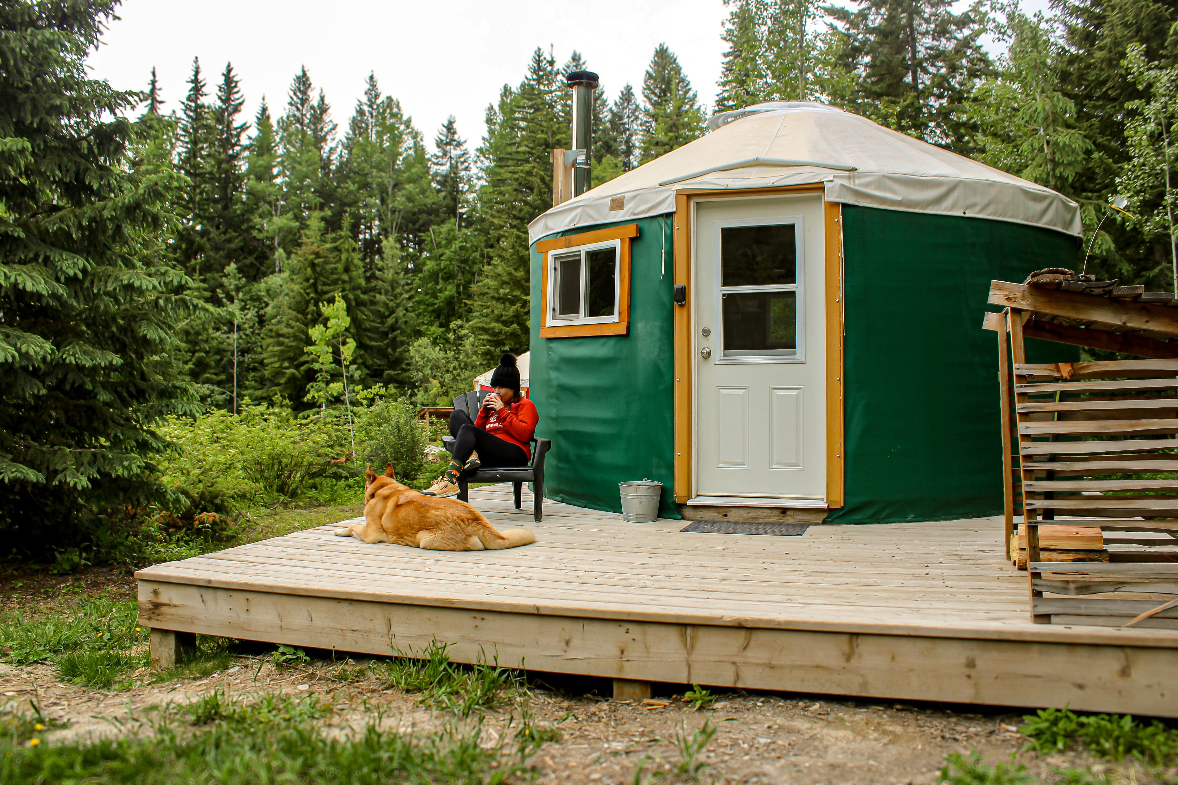 Un espace de glamping dans les mauvaises herbes.