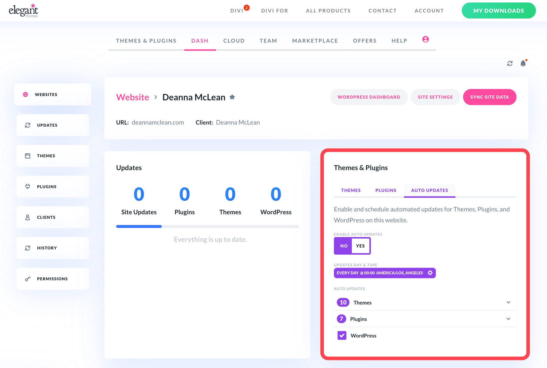 Divi Dash 自动更新