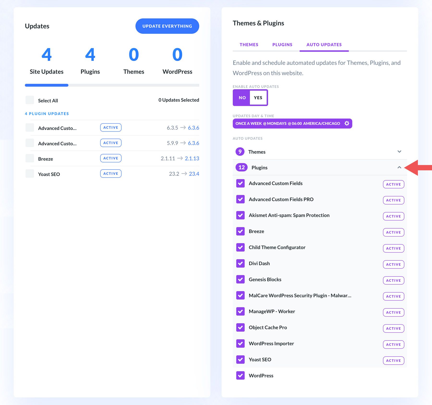 habilitar atualizações automáticas no WordPress