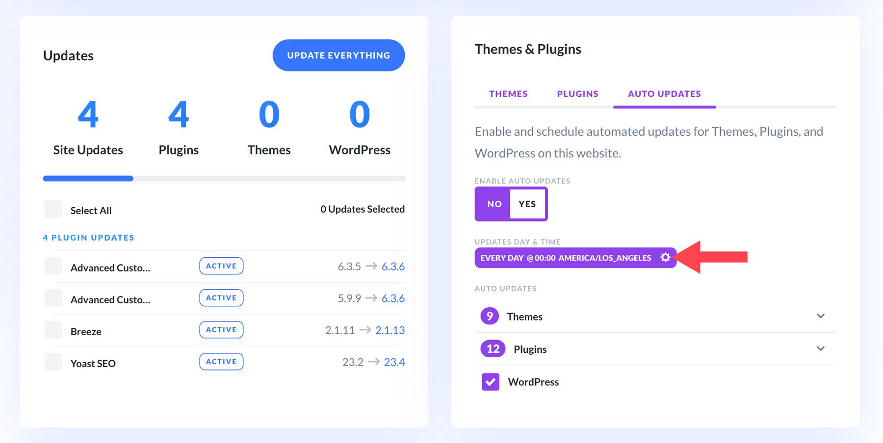 Setări de actualizare automată Divi Dash