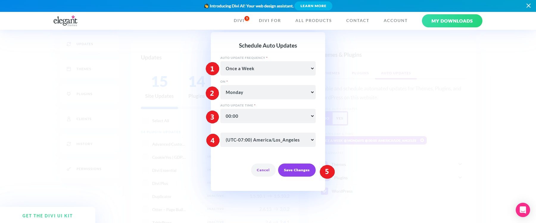 actualizaciones automáticas del calendario de divi dash