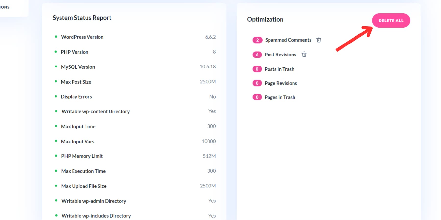 Una captura de pantalla de cómo optimizar la base de datos usando Divi Dash