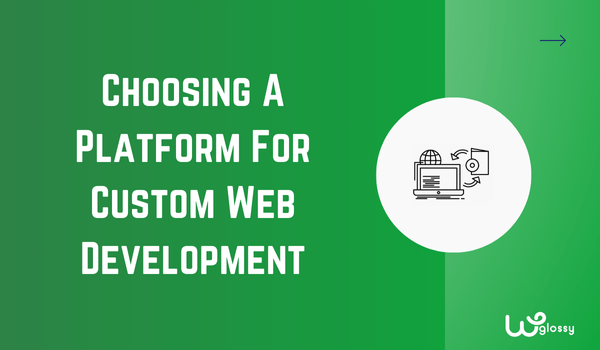 choose-platform-for-custom-web-development