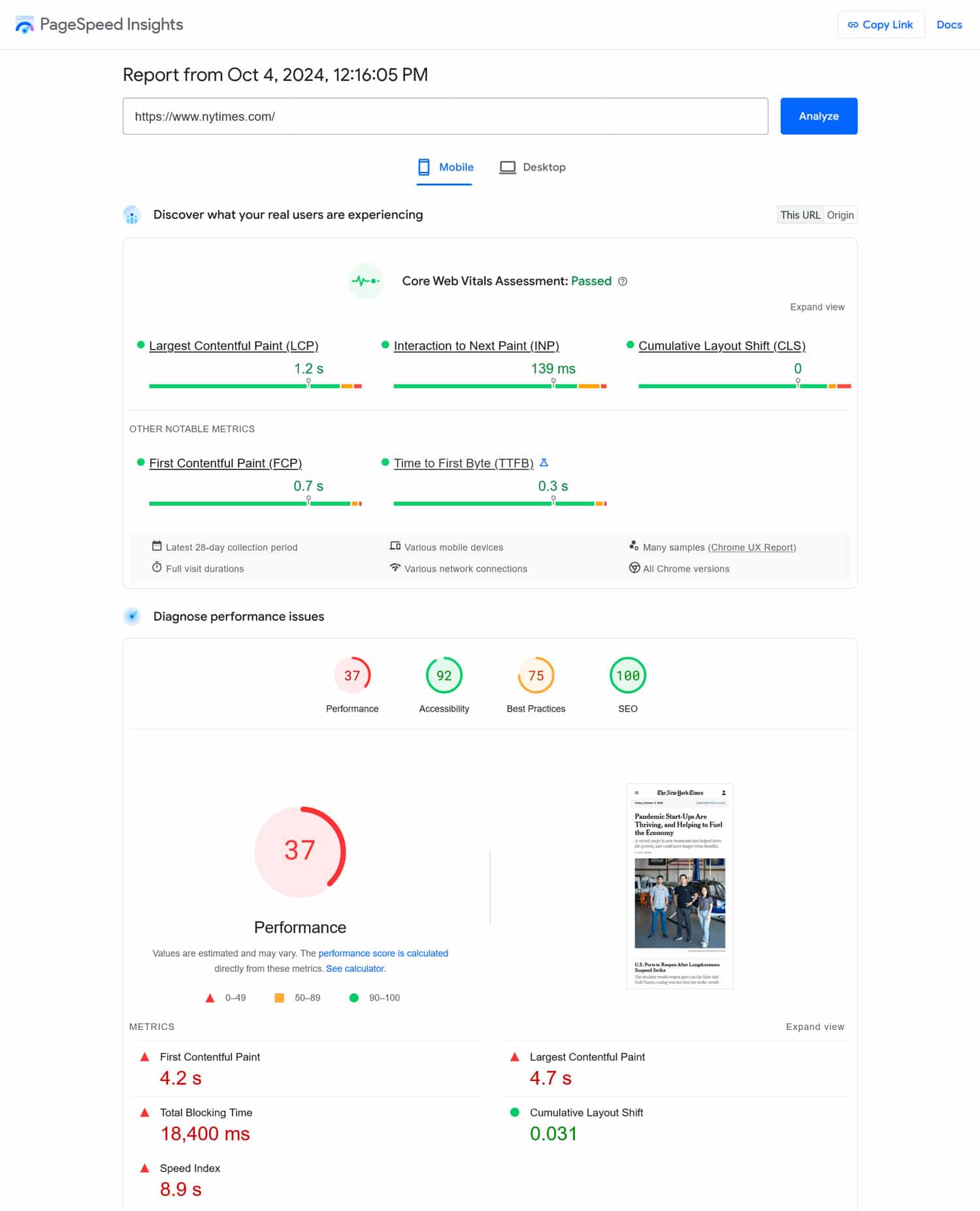 Resultados da análise do Pagespeed Insights