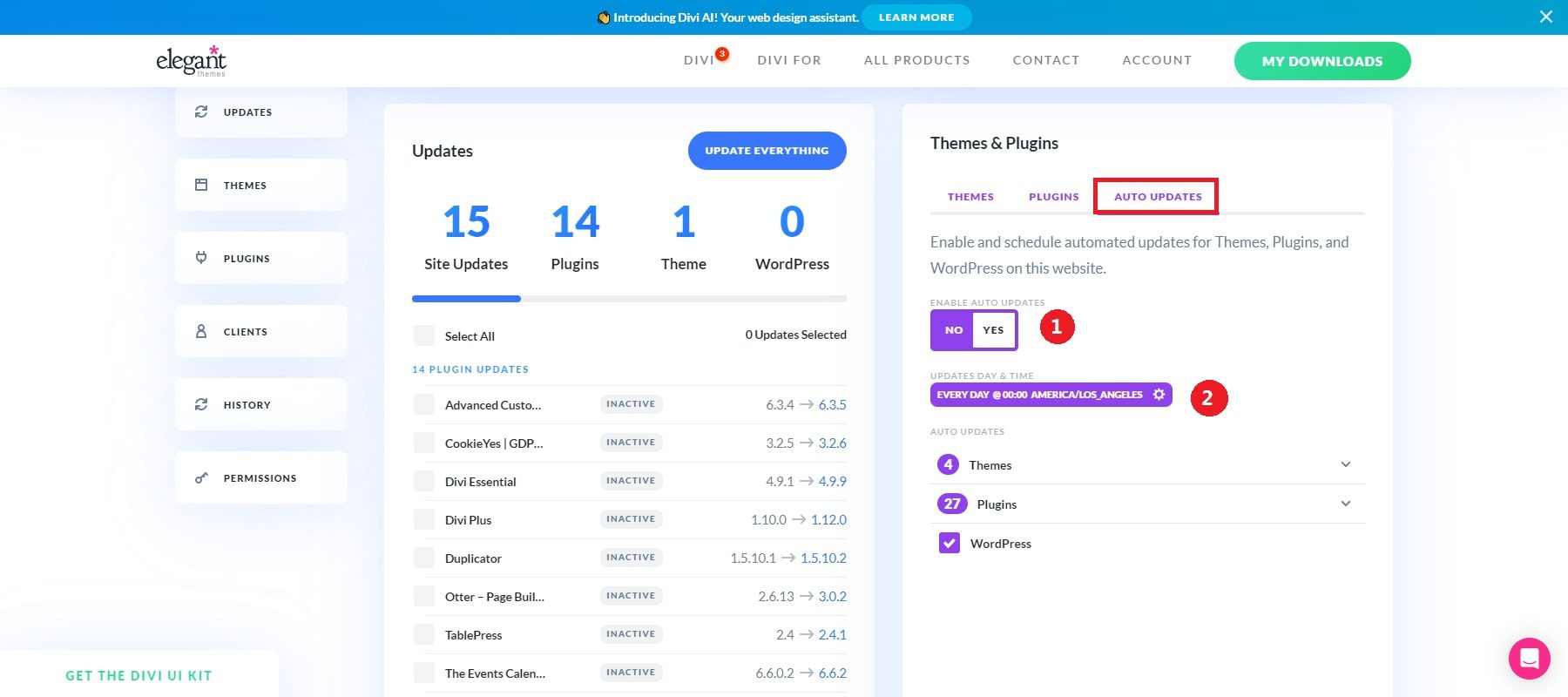 ปลั๊กอินอัพเดตอัตโนมัติ divi dash