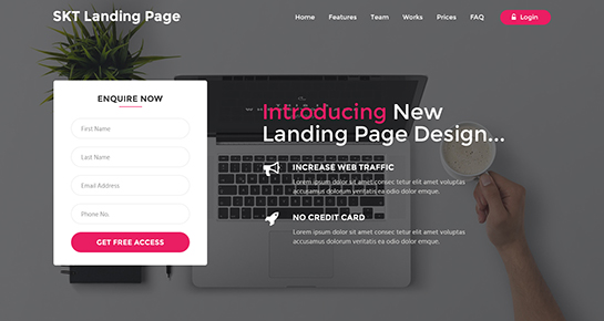 ธีม WordPress ของหน้า Landing Page