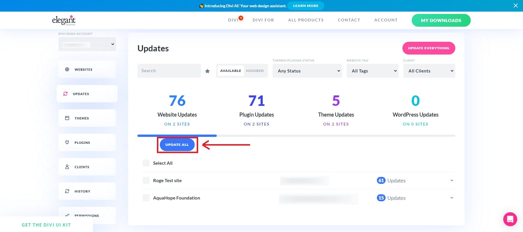 solución divi dash de un clic