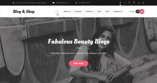 temas WordPress da loja de blogs