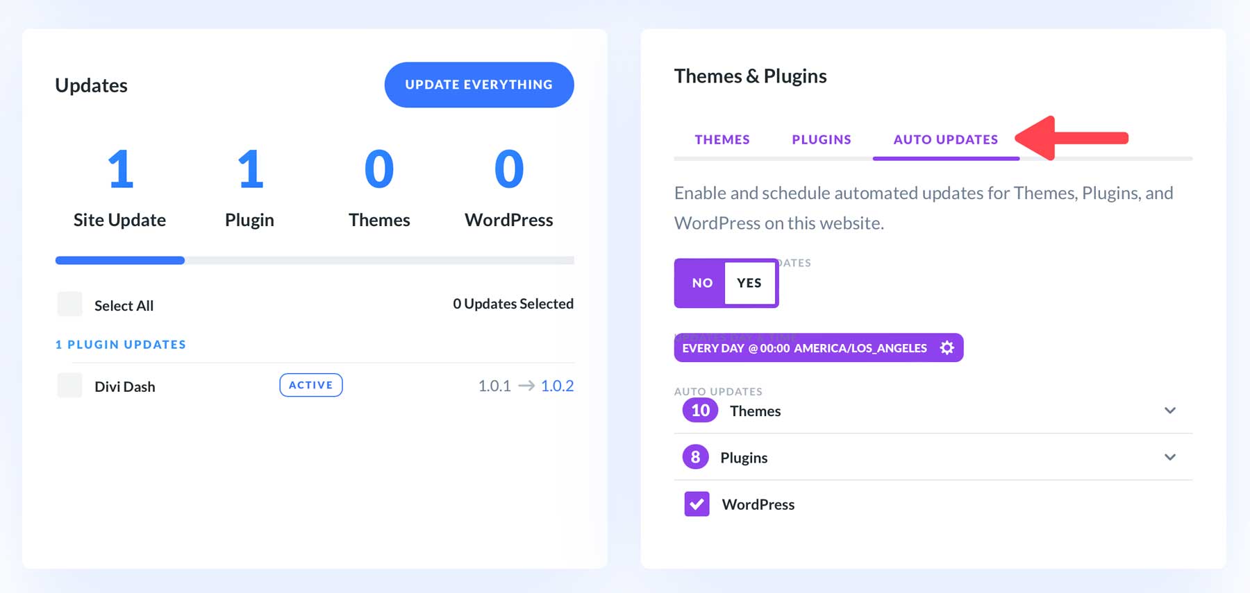 Actualizări automate Divi Dash