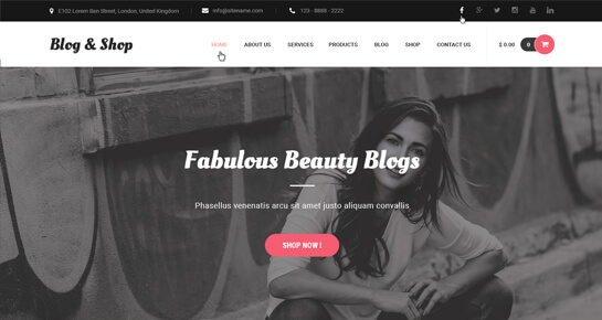 Blog und Shop – Modeblog-WordPress-Theme