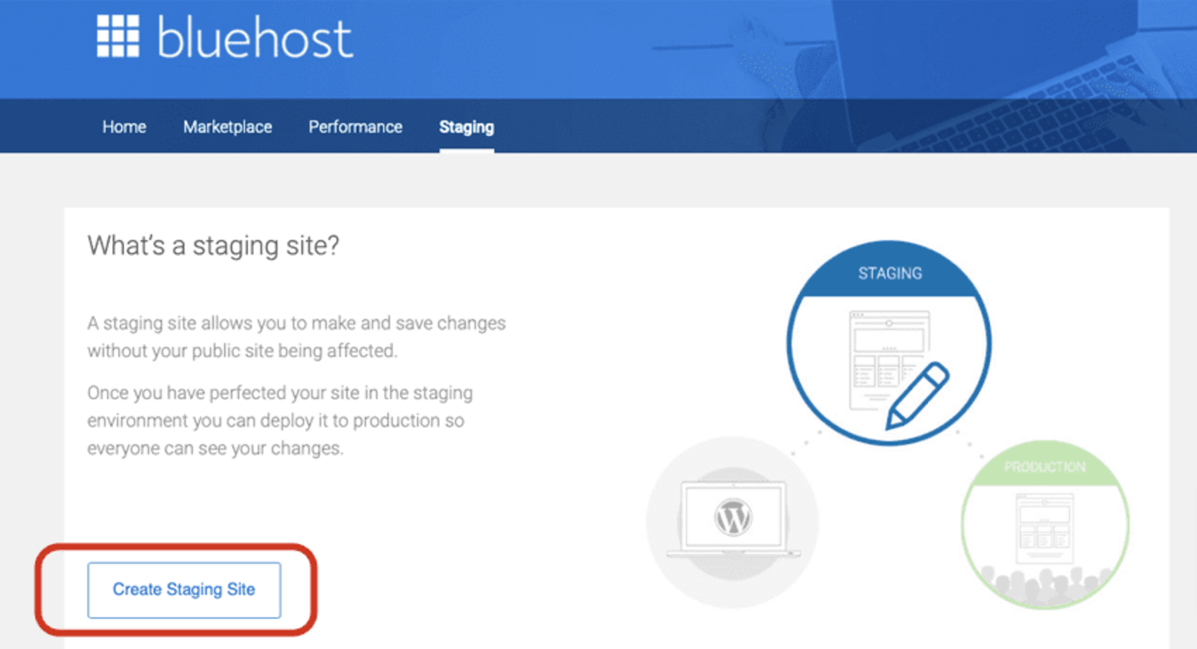 この画像は、Bluehost ステージング サイト作成オプションを示しています