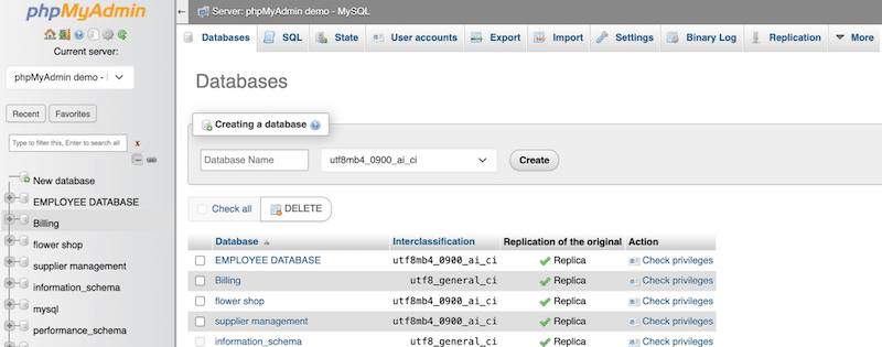 找到与我的 WordPress 网站匹配的数据库 - 来源：phpMyAdmin  