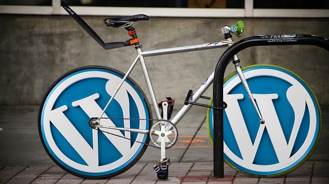 WordPress 自行車