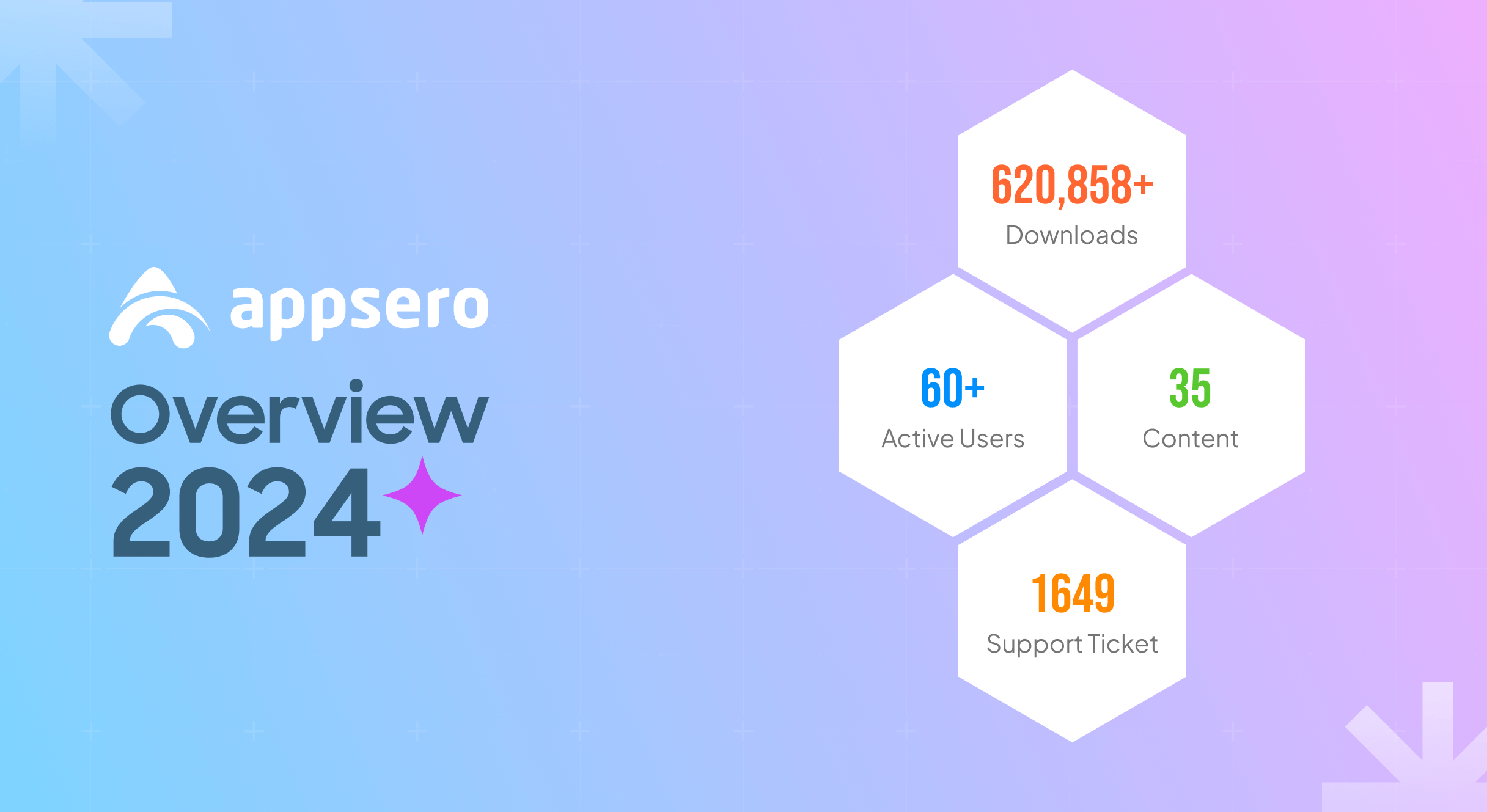 この画像は、2024 年の Appsero の概要を示しています